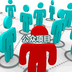 公众项目