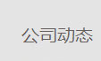 公司动态